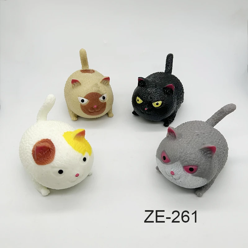 Kucing kecil marah.