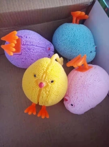 Chick Toy