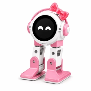 AI Version Round Screen AEKO Robot