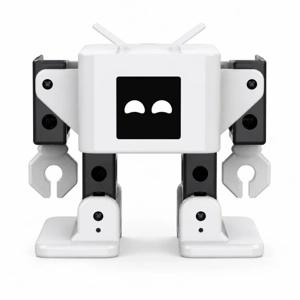 AI Version OTTO Robot